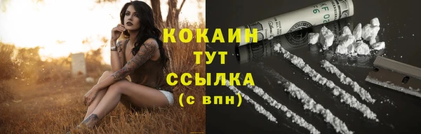 ешки Елизово