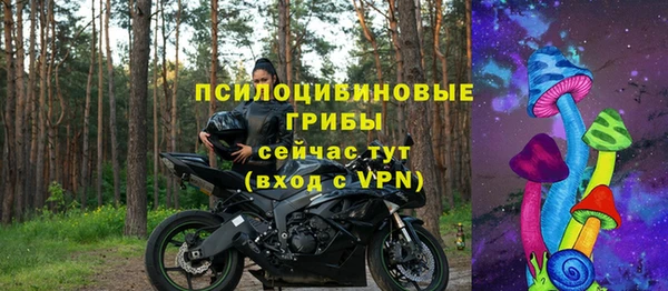 ешки Елизово