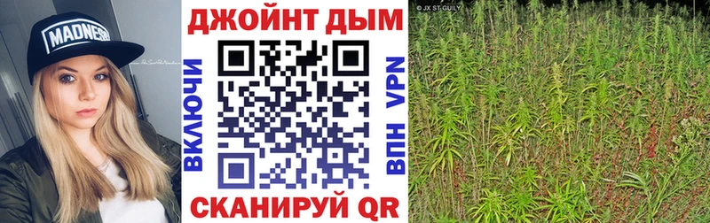 где можно купить наркотик  Ростов  Шишки марихуана Ganja 